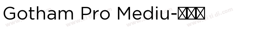 Gotham Pro Mediu字体转换